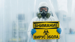 Смертельный вирус снова на повестке, ВОЗ бьет тревогу из-за Эболы: миру грозит новая пандемия?
