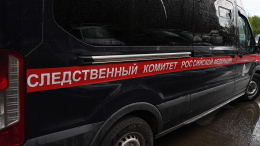 Тайга хранит молчание? — Новые подробности исчезновения семьи Усольцевых