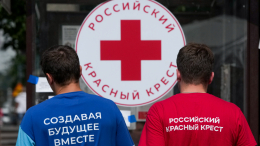 Красный Крест призвал защищать мирных жителей после атаки ВСУ на колледж в ЛНР
