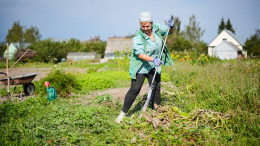 Чистота на участках: дачникам напомнили о правилах утилизации отходов