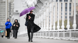 Лето уже близко: какая погода будет в Москве до конца недели