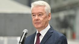 Сергей Собянин провел личный прием граждан офлайн и по видеосвязи