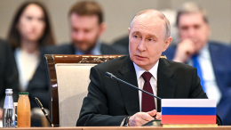 «Функционирует успешно»: Путин о развитии Евразийского экономического союза