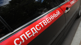 «Были у психолога»: мать о состоянии подвергшейся нападению дочери в Тюмени