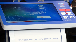 Более десяти миллионов человек приняли участие в праймериз «Единой России»