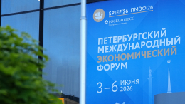 Гости и специалисты со всего света: как на ПМЭФ собралось мировое большинство