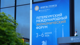 Устойчивая и независимая: на ПМЭФ обсудили будущее экономики России