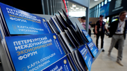 «Исключительно успешное»: американский журналист о выступлении Путина на ПМЭФ