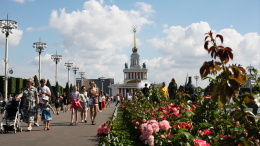 Лето набирает обороты: какая погода будет в Москве 6 июня