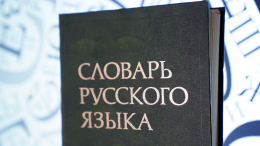 «Что-то новое»: Россия в ООН объяснила смысл слов «житие» и «лепота»