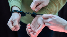 В Армении задержали математика Михаила Вербицкого*