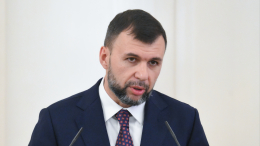 Пушилин: ВСУ нанесли серьезный ущерб национальному парку «Святые горы» в ДНР