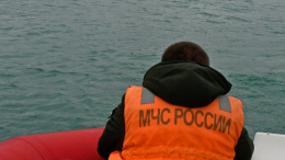В Красноярском крае двухлетний ребенок утонул в септике