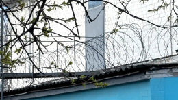 Пенсионерка из Хабаровска получила 19 лет колонии за подготовку теракта