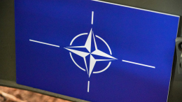 Приехал «ревизор»: США грозят союзникам в Европе сократить взносы в НАТО
