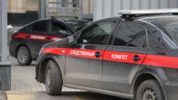 Возбуждено уголовное дело по факту нападения в торговом центре в Краснодаре