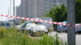 «Тень бабки приказала»: что стоит за жестоким убийством семьи на Ставрополье