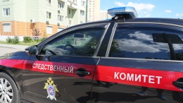 Двухмесячный малыш кричал под палящим солнцем у карьера, а его мать «спала» рядом