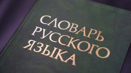 Филолог рассказала о русском слове с самым большим числом синонимов