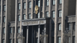 В Госдуме призвали к ответным мерам против Apple после удаления приложений VK
