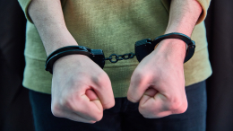 В Подмосковье задержали подозреваемых в нападении на сотрудника ДПС