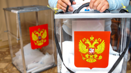«Интерес большой»: Памфилова о наблюдателях из других стран на выборах в Госдуму