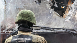 Грызлов: Киев целенаправленно бьет по гражданам Белоруссии