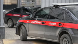 Две женщины похитили девочку и требовали 25 миллионов рублей выкупа