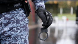 Подозреваемого в убийстве 12-летней девочки задержали в Ленобласти