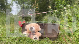 На месте гибели школьницы в Ленобласти появился стихийный мемориал