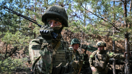 ВС РФ освободили Василевку в ДНР