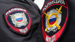 Школьница слепо исполняла команды по телефону: МВД раскрыло поджог АЗС в Щелково