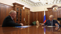 Путин принял в Кремле главу торгово-промышленной палаты
