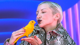 «Лучше пожалеть, что сделал»: MARGO о спонтанности
