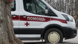 Грузовой поезд насмерть сбил 13-летнюю девочку в Новосибирской области