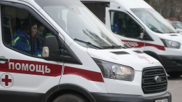 Девочка и ее бабушка погибли в результате удара ВСУ «Градом» по Брянской области