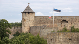 Потасовки и 10 часов ожидания: в Нарве на границе с РФ продают места в очереди