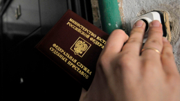 Спрятался в диване: собака сдала приставам должника по алиментам