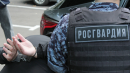 «Болит душа»: босой мужчина устроил перформанс в Эрмитаже