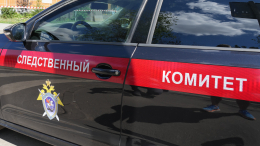 Следственный комитет возбудил уголовное дело после гибели ученого Никиты Зезина