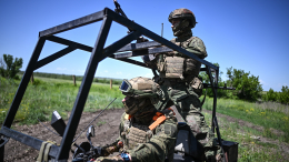 ВС РФ освободили Светлое в ДНР и установили контроль над Новой Сечью в Сумской области