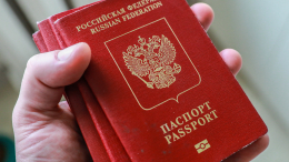 В МИД России опровергли запрет на оформление загранпаспортов через МФЦ
