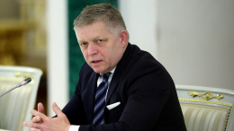 Фицо обвинил Еврокомиссию в лицемерии из-за российского меха