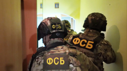 Задержанный за призывы к экстремизму житель Донецка раскаялся в содеянном