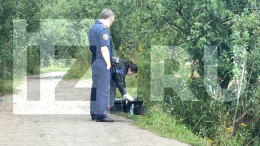 Тело сбежавшего из дома мальчика нашли в озере в Ленобласти