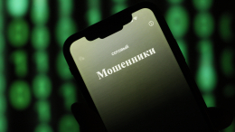 Выгодная покупка? Как мошенники заманивают россиян на поддельные сайты интернет-магазинов