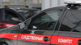СК остановился на двух версиях исчезновения семьи Усольцевых в тайге