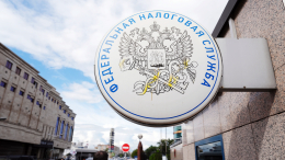 В России зафиксировали резкий рост выявленных налоговых преступлений