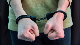 Сын экс-вице-губернатора Петербурга задержан по подозрению в убийстве