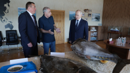Курилы «взорвали» японские соцсети: визит Путина возглавил тренды в X